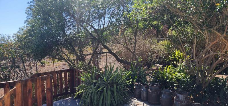 5 Bedroom Property for Sale in Albertinia Western Cape